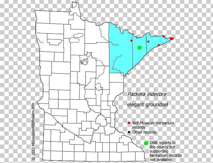 Murray County PNG, Clipart, Angle, Area, Blue Earth County Minnesota, Carver County Minnesota, County Free PNG Download