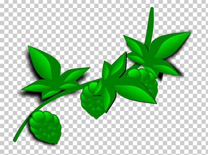 Plant Leaf PNG, Clipart, Cartoon Holly Leaves, Coca, Computer Wallpaper, Flora, Flower Free PNG Download