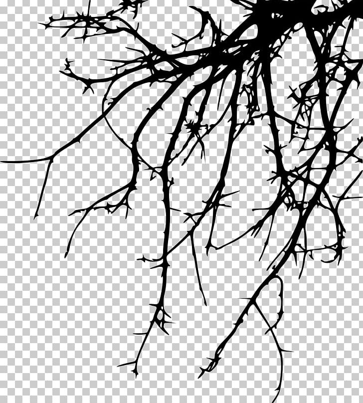Twig Branch Drawing PNG, Clipart, Artwork, Black And White, Branch ...