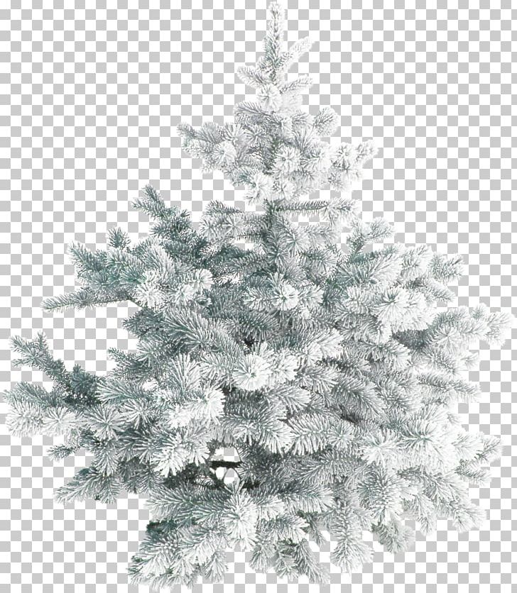 Christmas Tree Christmas Tree PNG, Clipart, Black And White, Branch, Christmas, Christmas Decoration, Christmas Ornament Free PNG Download