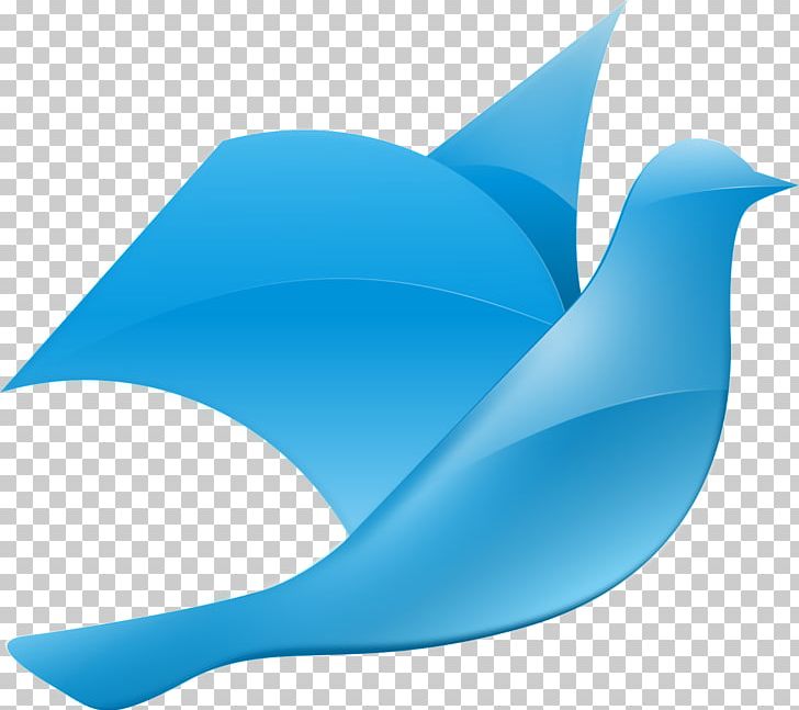 Columbidae Domestic Pigeon Doves As Symbols PNG, Clipart, Aqua, Azure, Beak, Blue, Blue Pigeon Free PNG Download