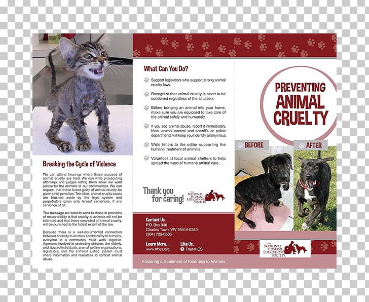 Dog Breed Advertising Dog Fighting Intensive Animal Farming PNG, Clipart, Advertising, Animal, Animals, Animal Welfare, Brand Free PNG Download