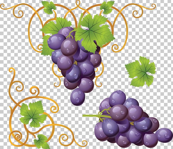 Grape PNG, Clipart, Grape Free PNG Download