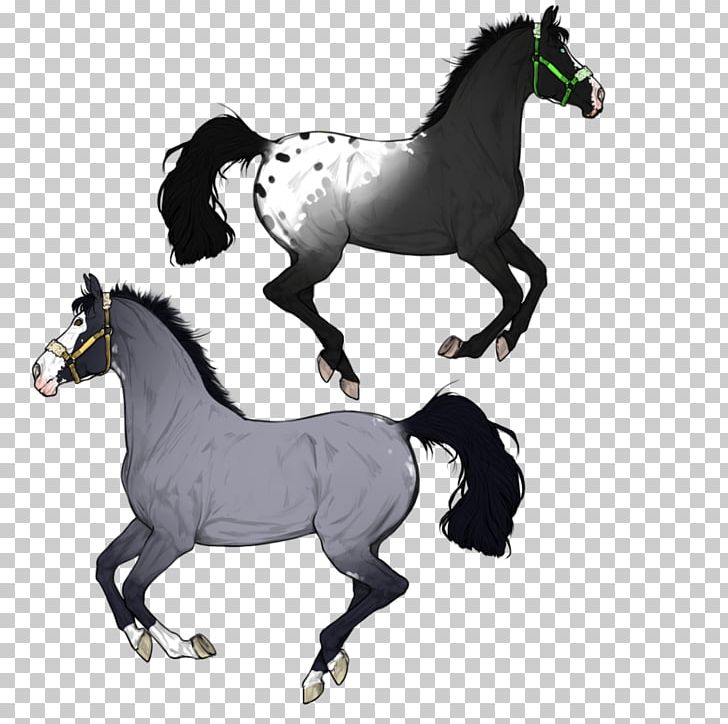 Mustang Mare Stallion Halter Rein PNG, Clipart, Animal Figure, Black, Black And White, Bridle, Halter Free PNG Download