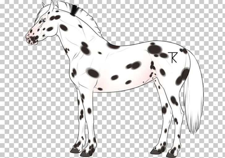 Pony Mustang Stallion Colt Mare PNG, Clipart, Animal, Animal Figure, Appaloosa, Black And White, Colt Free PNG Download