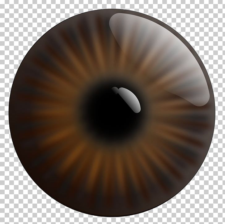 Pupil Iris Eye Desktop PNG, Clipart, Brown, Circle, Clip Art, Closeup, Color Free PNG Download