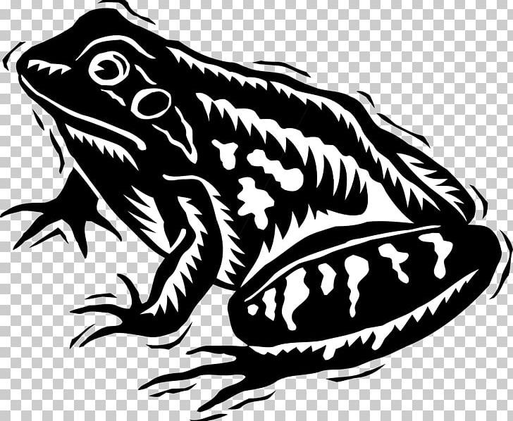 Tree Frog PNG, Clipart, Amphibian, Animal, Animals, Art, Artwork Free PNG Download