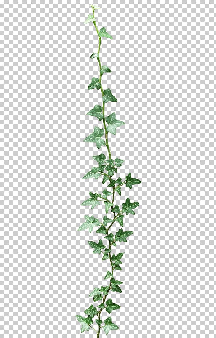 Flower 24/7 Hydroponics Garland Floral Design PNG, Clipart, Balloon, Branch, Cut Flowers, Do It Yourself, Floral Design Free PNG Download