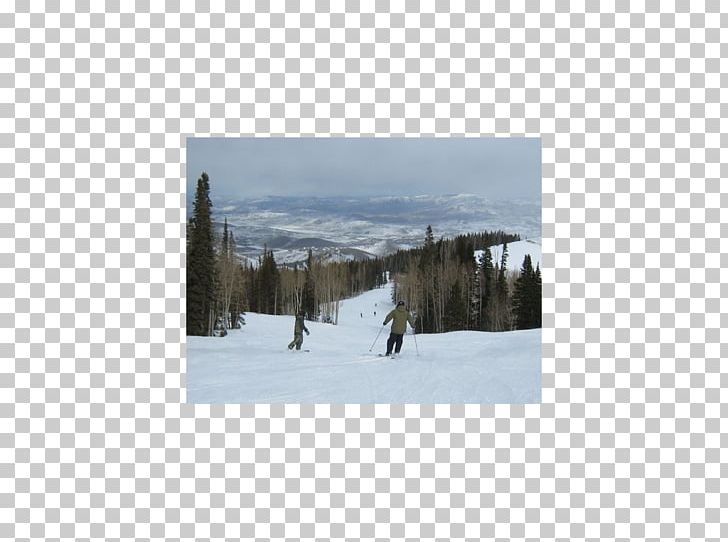 Snow Ski Sporting Goods Tree Sky Plc PNG, Clipart, Freezing, Geological Phenomenon, Ice, Ski, Ski Equipment Free PNG Download