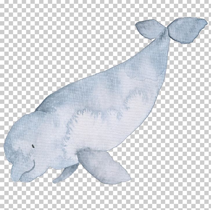 Watercolor Painting Poster Photography PNG, Clipart, Animal, Art, Beluga, Beluga Whale, Blue Whale Free PNG Download