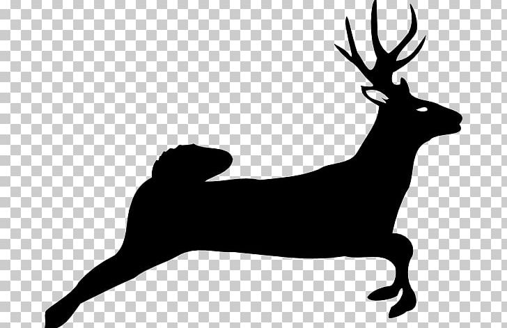 White-tailed Deer Reindeer Silhouette PNG, Clipart, Antler, Black, Black And White, Clip Art, Deer Free PNG Download