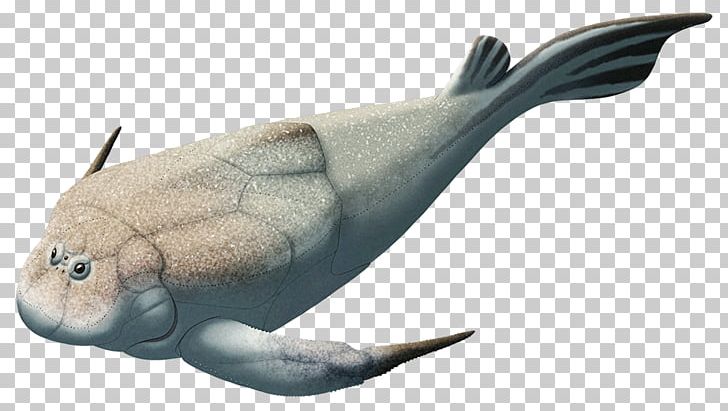 Late Devonian Extinction Placodermi Bothriolepis Antiarchi PNG, Clipart, Animal, Animal Figure, Armour, Beak, Clasper Free PNG Download