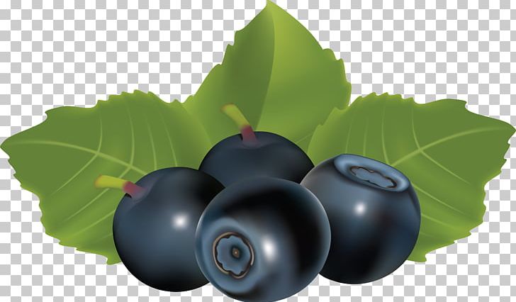 Blueberries PNG, Clipart, Blueberries Free PNG Download