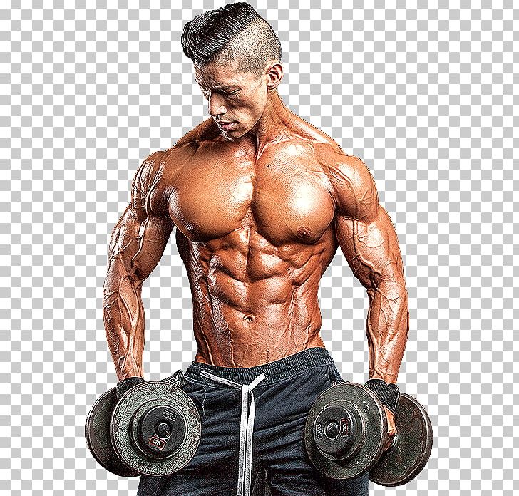Bodybuilding Men's Health Weight Training Physical Fitness PNG, Clipart,  Free PNG Download