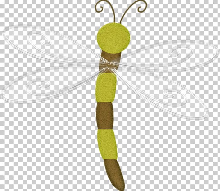 Dragonfly Insect Drawing PNG, Clipart, Cartoon, Dragonfly, Drawing, Euclidean Vector, Hand Free PNG Download