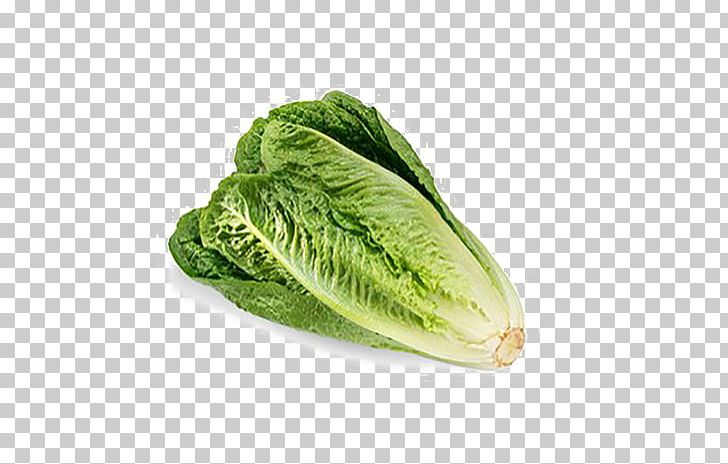 Romaine Lettuce Canada 2011 Germany E. Coli O104:H4 Outbreak PNG, Clipart, Cabbage, Canada, Chard, Cruciferous Vegetables, Food Free PNG Download