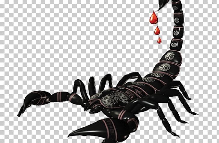 Scorpion Sting Portable Network Graphics Scalable Graphics PNG, Clipart, Arachnid, Arthropod, Computer Icons, Drawing, Insects Free PNG Download