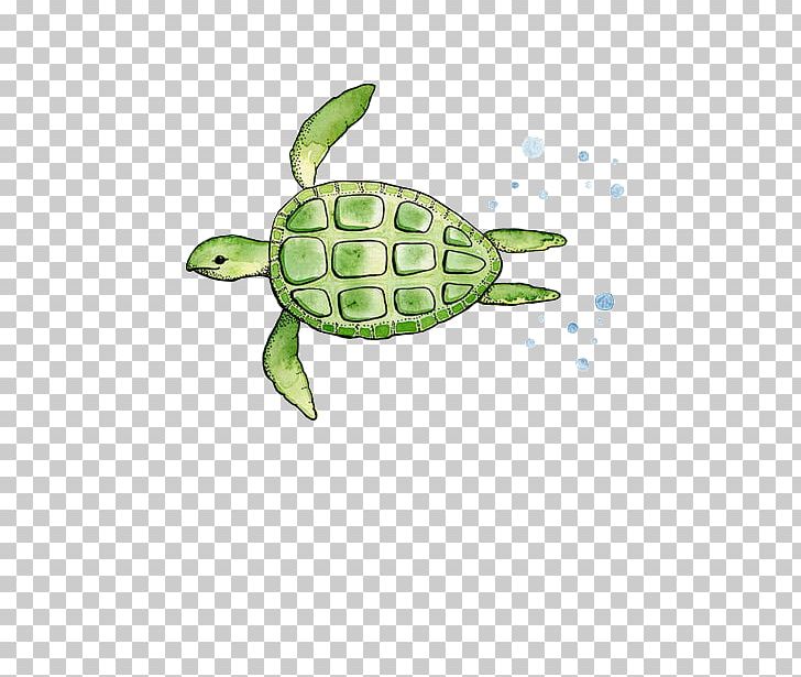 Sticker Paper Drawing Turtle Adhesive PNG, Clipart, Adhesive, Animals, Binder, Decal, Desktop Wallpaper Free PNG Download