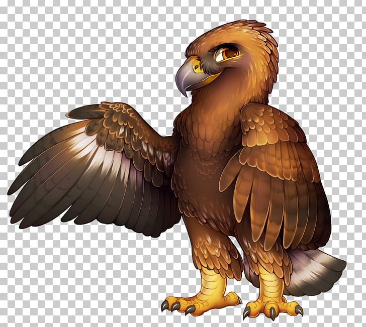 Bald Eagle Bird Golden Eagle Beak PNG, Clipart, Accipitriformes, Animal, Animals, Bald Eagle, Beak Free PNG Download