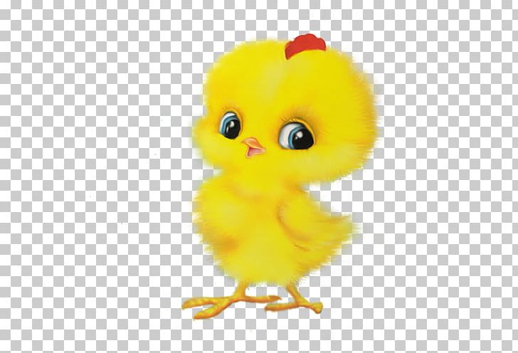 Chicken Child Game Easter Egger PNG, Clipart, Age, Animals, Beak, Bird, Chicken Free PNG Download