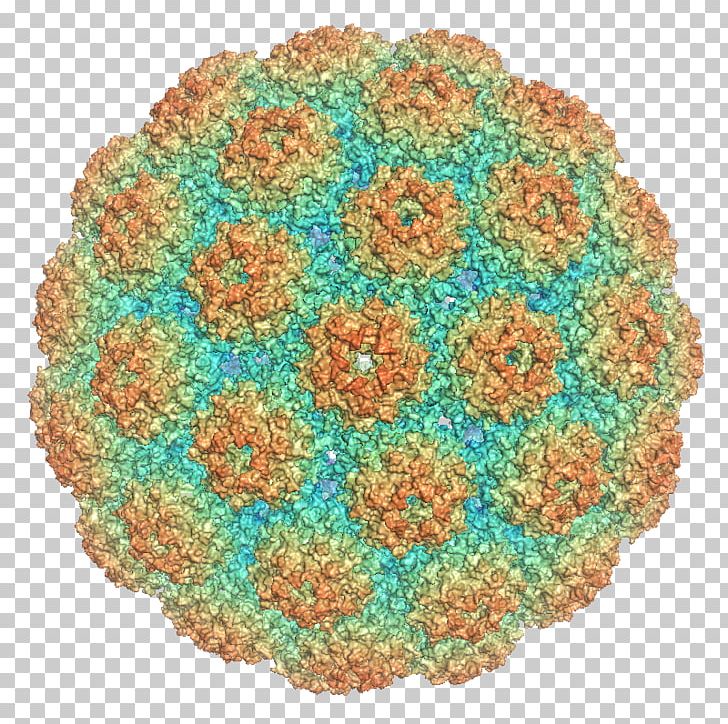 Polyomaviridae Major Capsid Protein VP1 Murine Polyomavirus PNG, Clipart, Aqua, Capsid, Cell, Circle, Crochet Free PNG Download