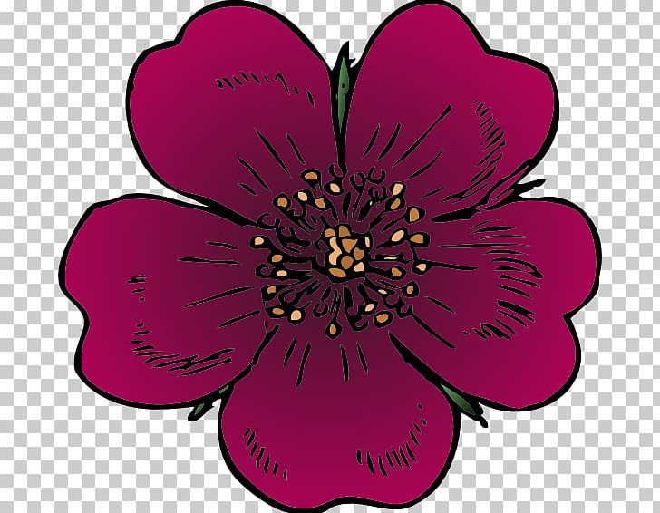 Wildflower PNG, Clipart, Color, Computer Icons, Cut Flowers, Flora, Floral Design Free PNG Download