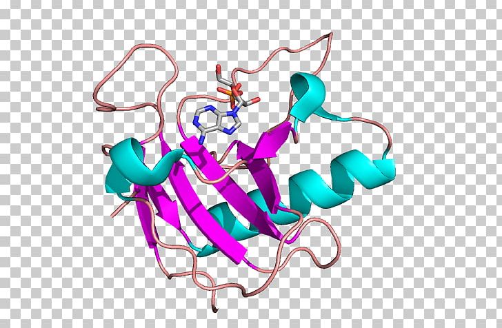 Bovine Pancreatic Ribonuclease Structure Exosome Complex PNG, Clipart, Art, Bovine Pancreatic Ribonuclease, Catalysis, Classes, Computer Wallpaper Free PNG Download