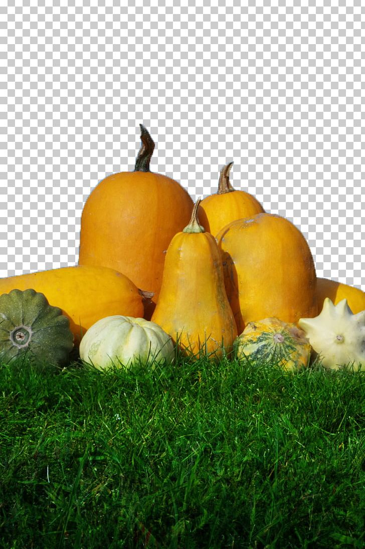 Pumpkin Calabaza Gourd Winter Squash Harvest PNG, Clipart, Autumn, Calabaza, Food, Fruit, Gourd Free PNG Download