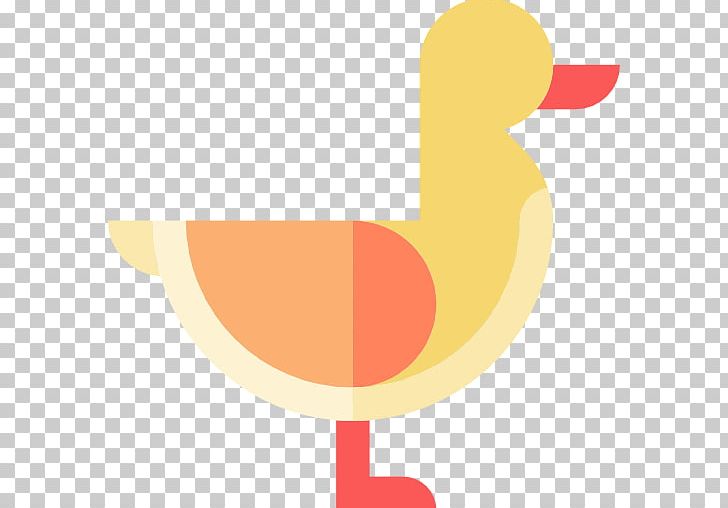 Rooster Water Bird Beak PNG, Clipart, Animals, Beak, Bird, Chicken, Chicken As Food Free PNG Download