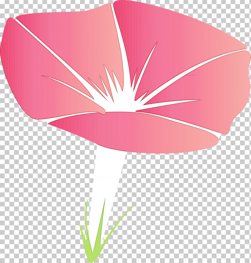Pink Petal Flower Plant Leaf PNG, Clipart, Anthurium, Flower, Leaf, Morning Glory, Morning Glory Flower Free PNG Download