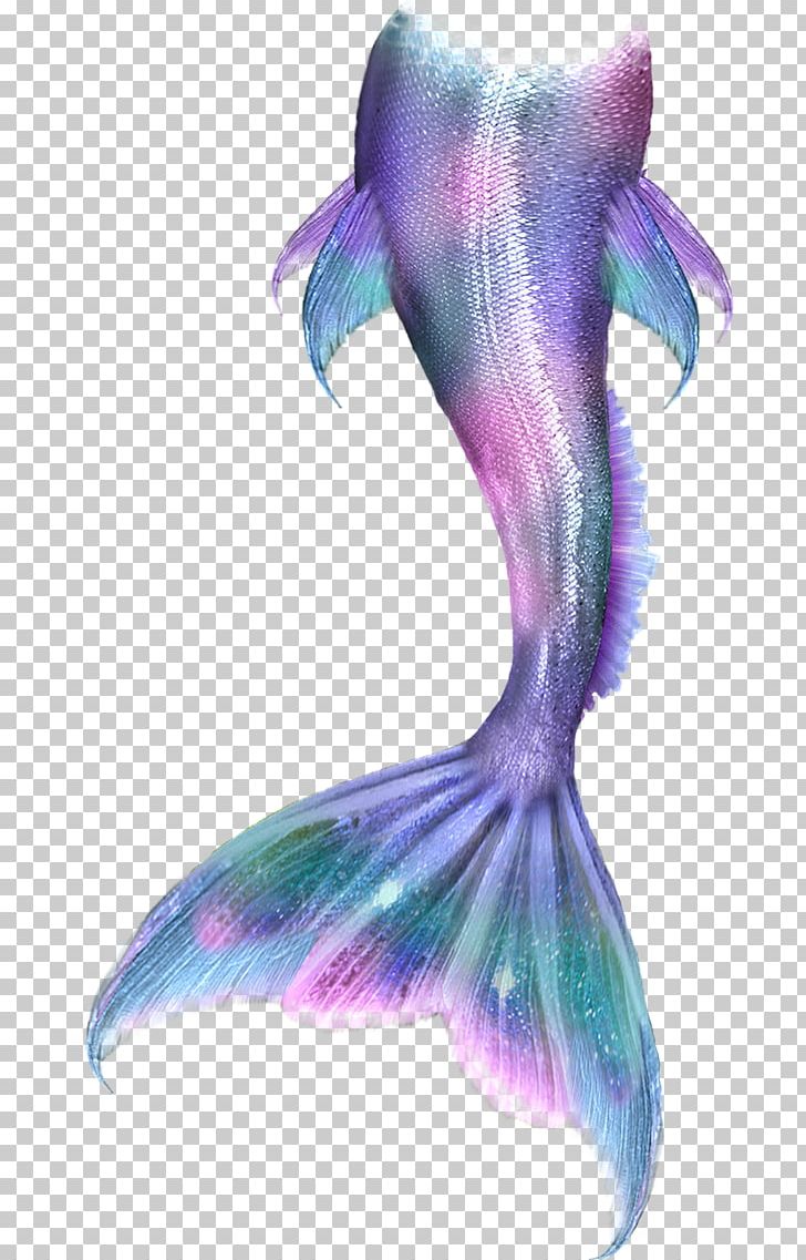 Ariel Merliah Summers Mermaid Merman PNG, Clipart, Ariel, Drawing, Fantasy, Fictional Character, Fish Free PNG Download
