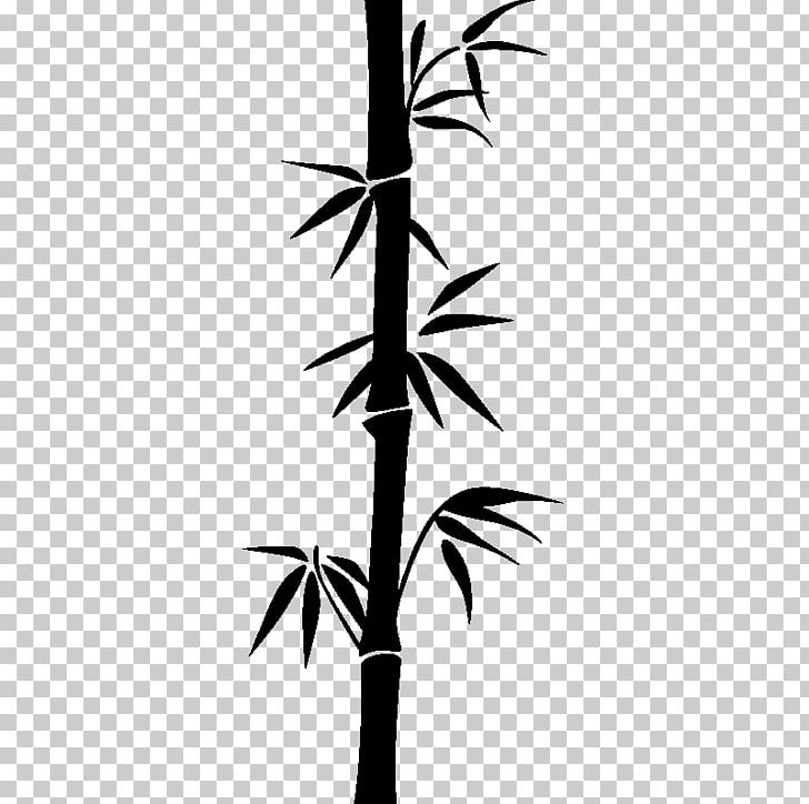 Bamboo PNG, Clipart, Bamboo, Black And White, Branch, Clip Art, Drawing Free PNG Download