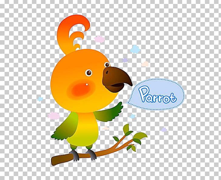 Bird Duck Parrot PNG, Clipart, Animals, Art, Beak, Bird, Branch Free PNG Download