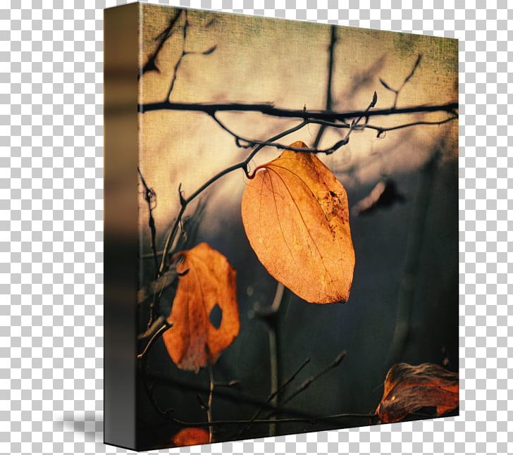Frames Canvas Print Still Life Photography Printing PNG, Clipart, Art, Canvas, Canvas Print, Flower, Leaf Free PNG Download