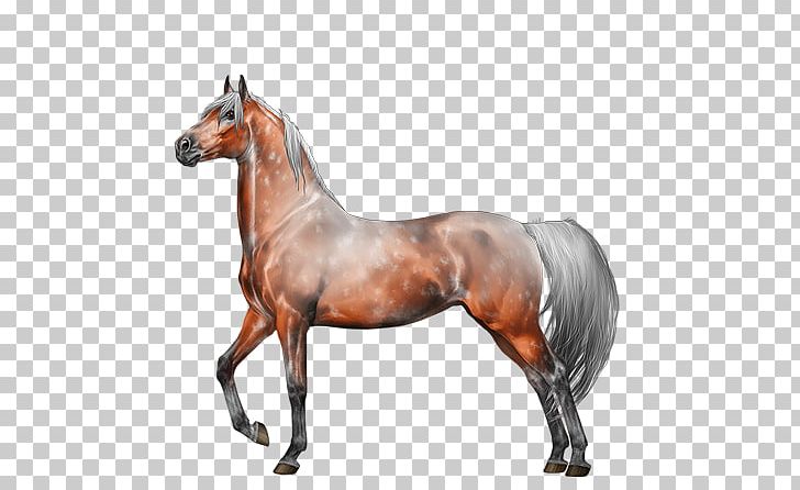 Stallion Foal Mare Colt Mustang PNG, Clipart, Breed, Bridle, Colt, Foal, Halter Free PNG Download