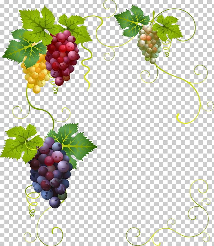 Wine Grape Divertimento PNG, Clipart, Border, Border Frame, Certificate Border, Food, Fruit Free PNG Download