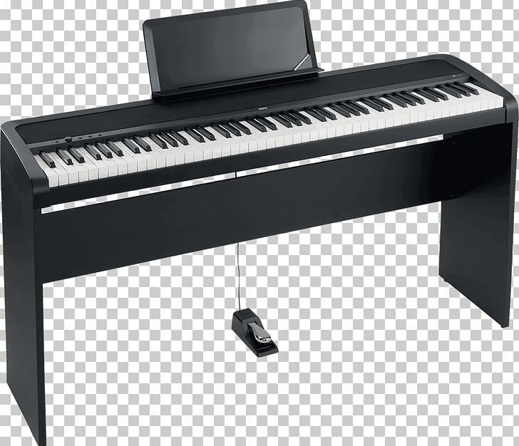 Digital Piano Korg B1 Stage Piano PNG, Clipart, Action, Celesta, Digital Piano, Electric Piano, Furniture Free PNG Download