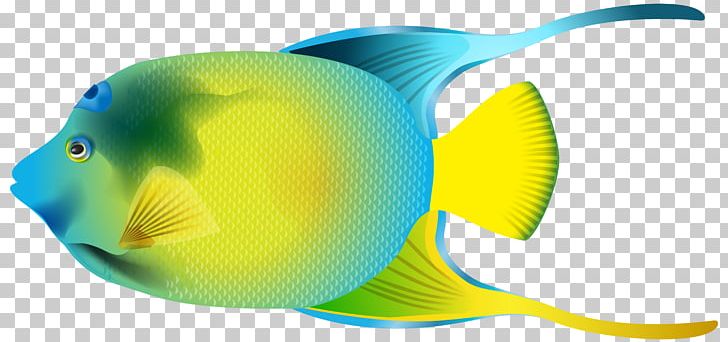 Fish Pterophyllum Altum PNG, Clipart, Angelfish, Beak, Clip Art, Clipart, Emperor Angelfish Free PNG Download