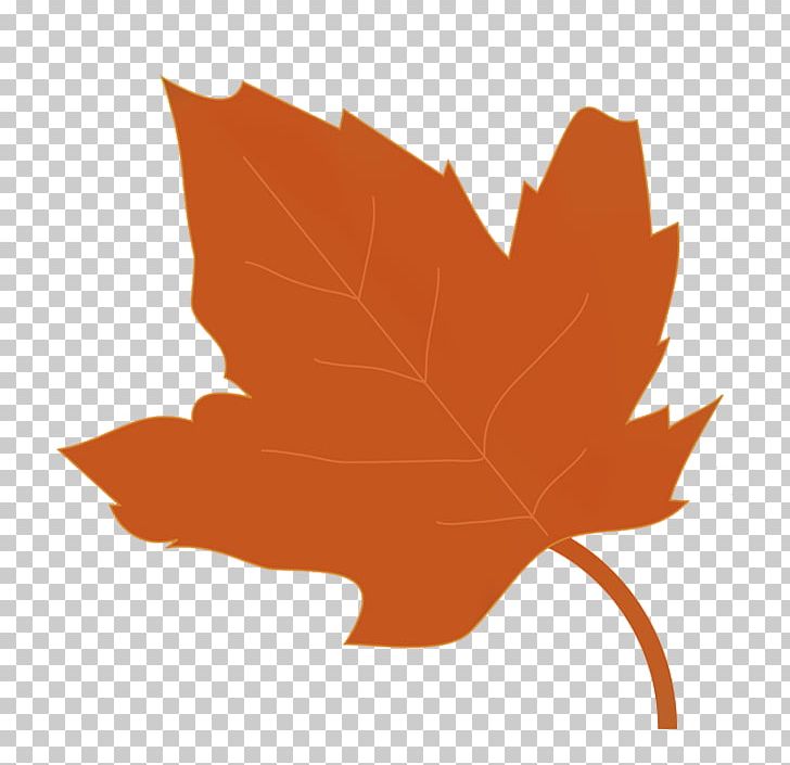 Autumn Leaf Color PNG, Clipart, Autumn, Autumn Leaf Color, Blog, Drawing, Flower Free PNG Download