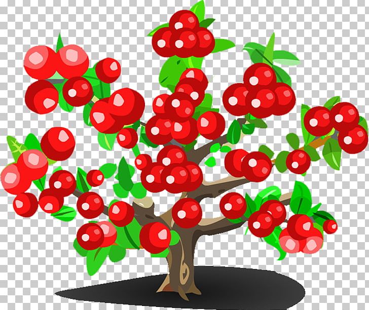 Cherry Strawberry Fruit Tree PNG, Clipart, Adobe Illustrator, Berry, Branch, Cherries, Cherry Free PNG Download