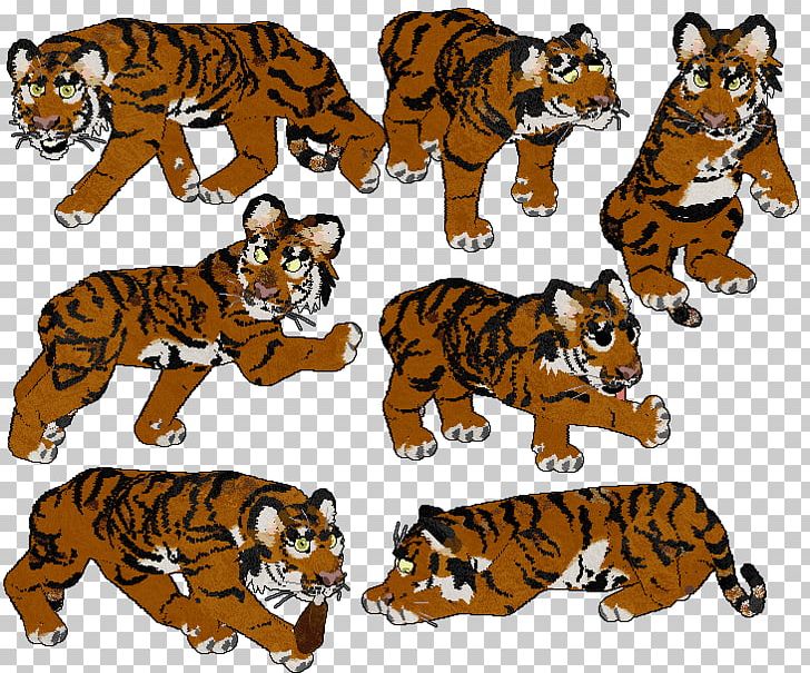 Tiger Cat Terrestrial Animal PNG, Clipart, Animal, Animal Figure, Animals, Big Cats, Carnivoran Free PNG Download