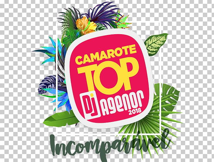 Camarote DJ Agenor (Micareta De Feira De Santana) Square Meter PNG, Clipart, Area, Brand, Feira De Santana, Food, Fruit Free PNG Download