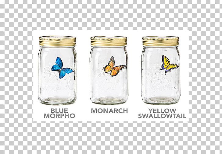 Butterfly Jar Gadget Morpho Insect PNG, Clipart, Bottle, Butterfly, Butterfly Jar, Drinkware, Food Storage Free PNG Download