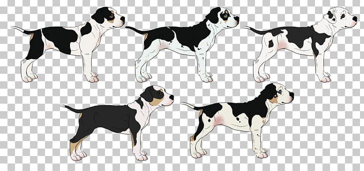 Dog Breed English Foxhound American Foxhound Harrier Companion Dog PNG, Clipart, American Foxhound, Animal, Animal Figure, Bred Pit, Breed Free PNG Download