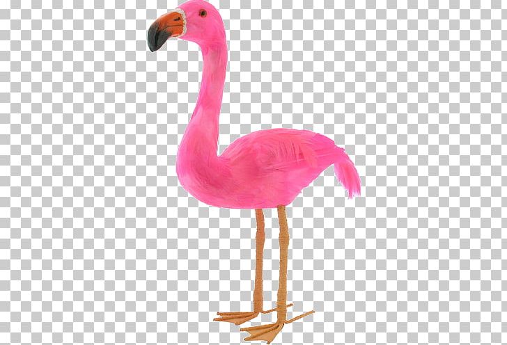 Froot Loops Flamingo Cartoon Quotation PNG, Clipart, Beak, Bird, Cartoon, Cheerios, Feather Free PNG Download