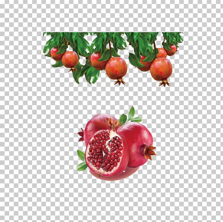 Juice Pomegranate Gelatin Dessert Fruit Extract PNG, Clipart, Apart, Apartment, Apartment House, Apartment Icon, Apartments Free PNG Download