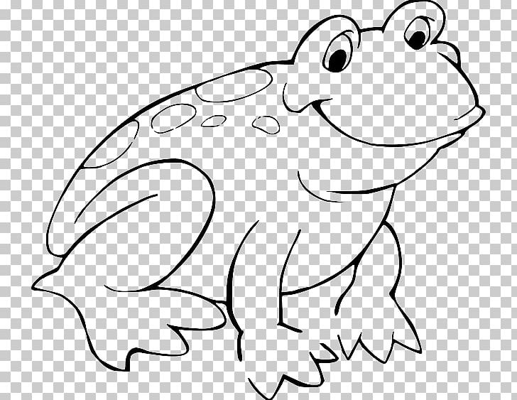 Red-eyed Tree Frog Coloring Book Toad PNG, Clipart, Adult, American Bullfrog, Amphibian, Animals, Cartoon Free PNG Download