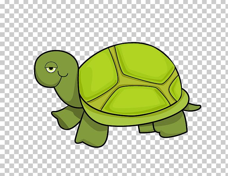 Tortoise Sea Turtle PNG, Clipart, Animaatio, Animals, Fauna, Green, Leatherback Sea Turtle Free PNG Download