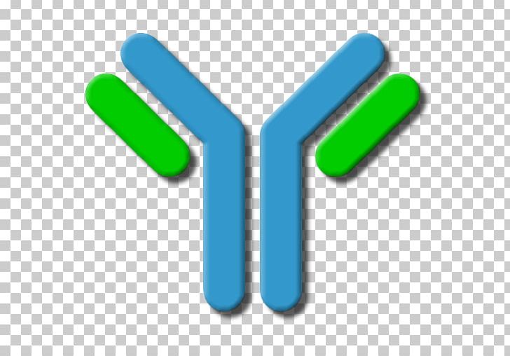 Antibody Hybridoma Technology Lymphocyte B Cell White Blood Cell PNG, Clipart, Antibody, B Cell, Blood, Body, Checkpoint Free PNG Download