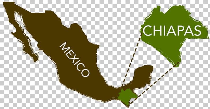 Mexico City Map Globe PNG, Clipart, Brand, Cartography, City Map, Globe, Graphic Design Free PNG Download